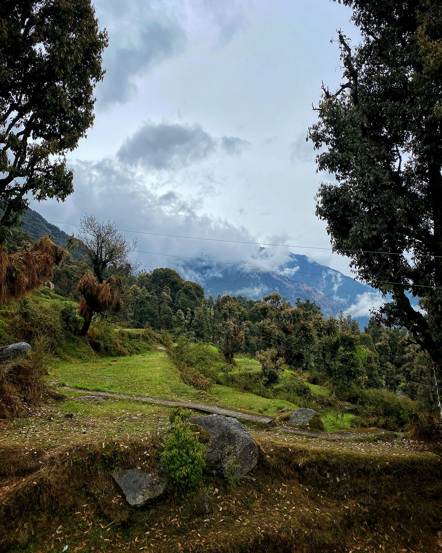 Misty Mountain Trails